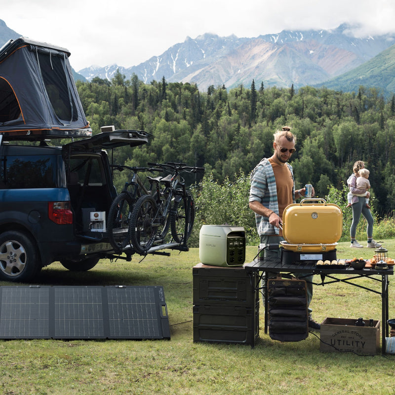 Load image into Gallery viewer, EcoFlow DELTA 3 Plus Portable Power Station