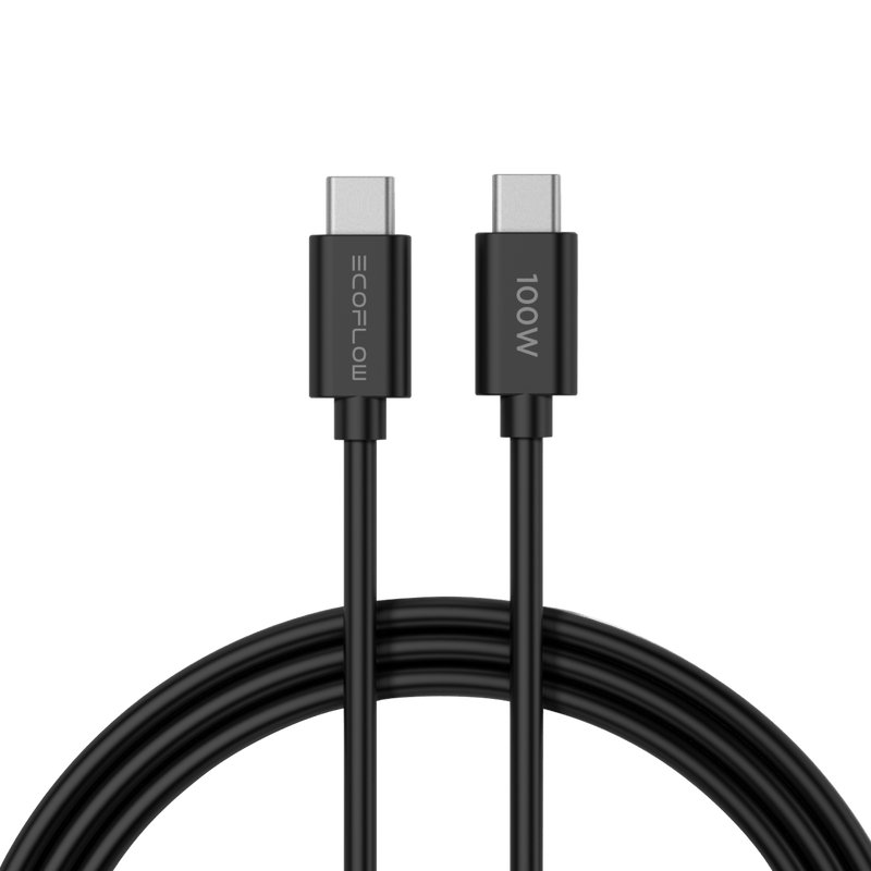 Load image into Gallery viewer, EcoFlow Accessory RAPID 65W GaN Charger with 100W Cable EcoFlow RAPID 65W GaN Charger with 100W Cable