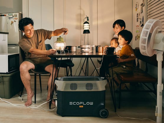 Backup Power Solutions for Home >