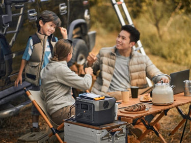 Portable Power Station for Camping >