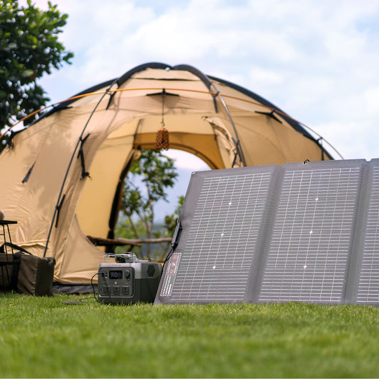 EcoFlow RIVER 2 Pro Solar Generator (PV220W)