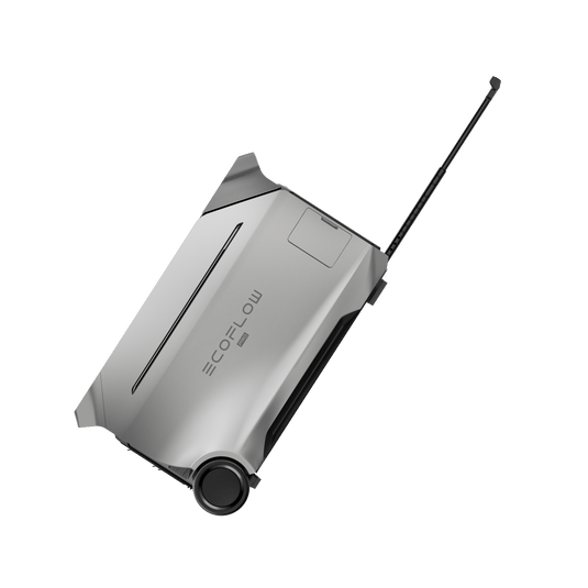 DELTA Pro 3
